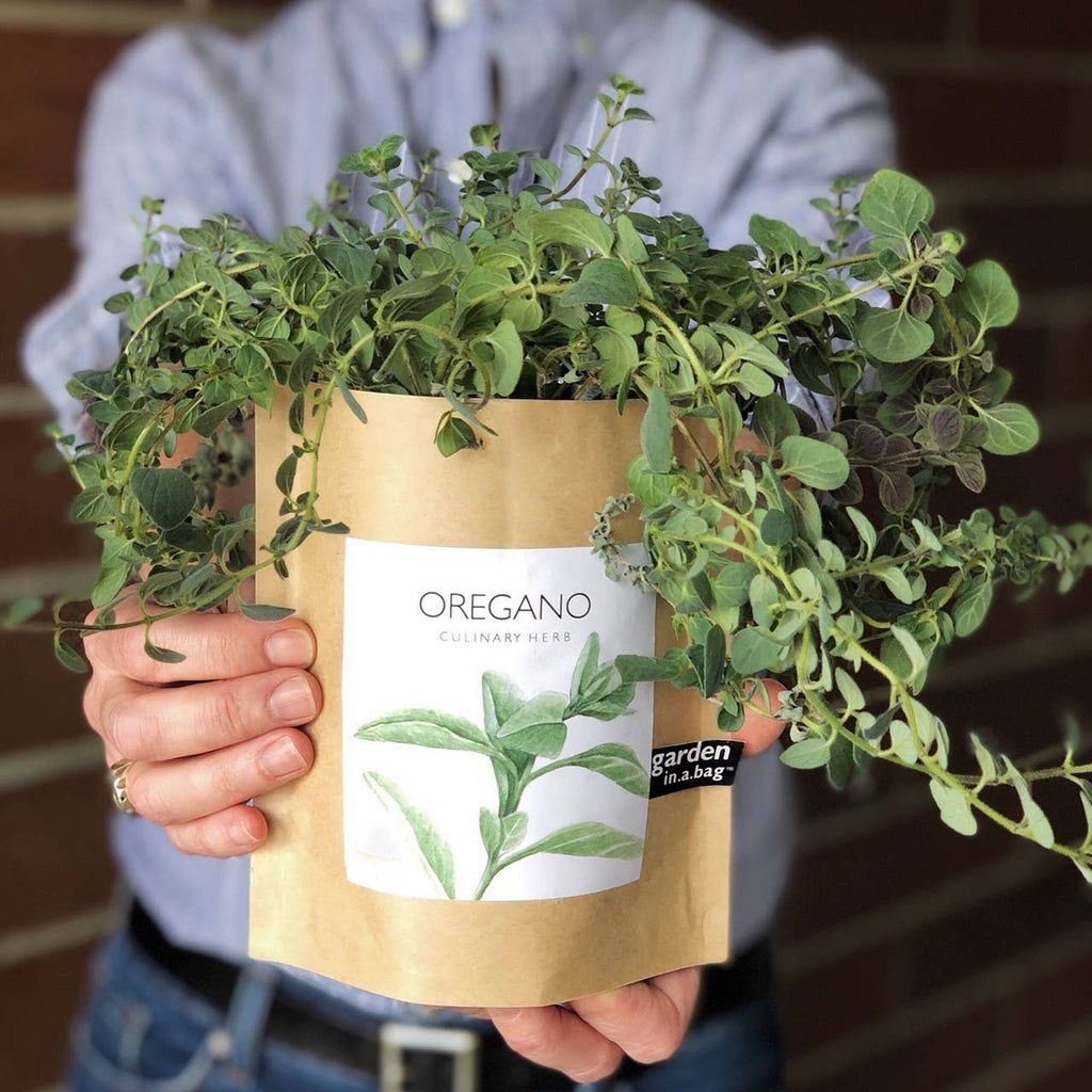 Garden in a Bag | Oregano | Great gift for Cooks