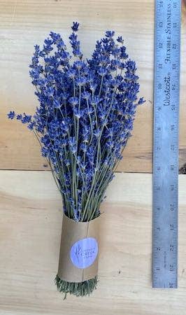Dried English Lavender Bouquets - Light Purple