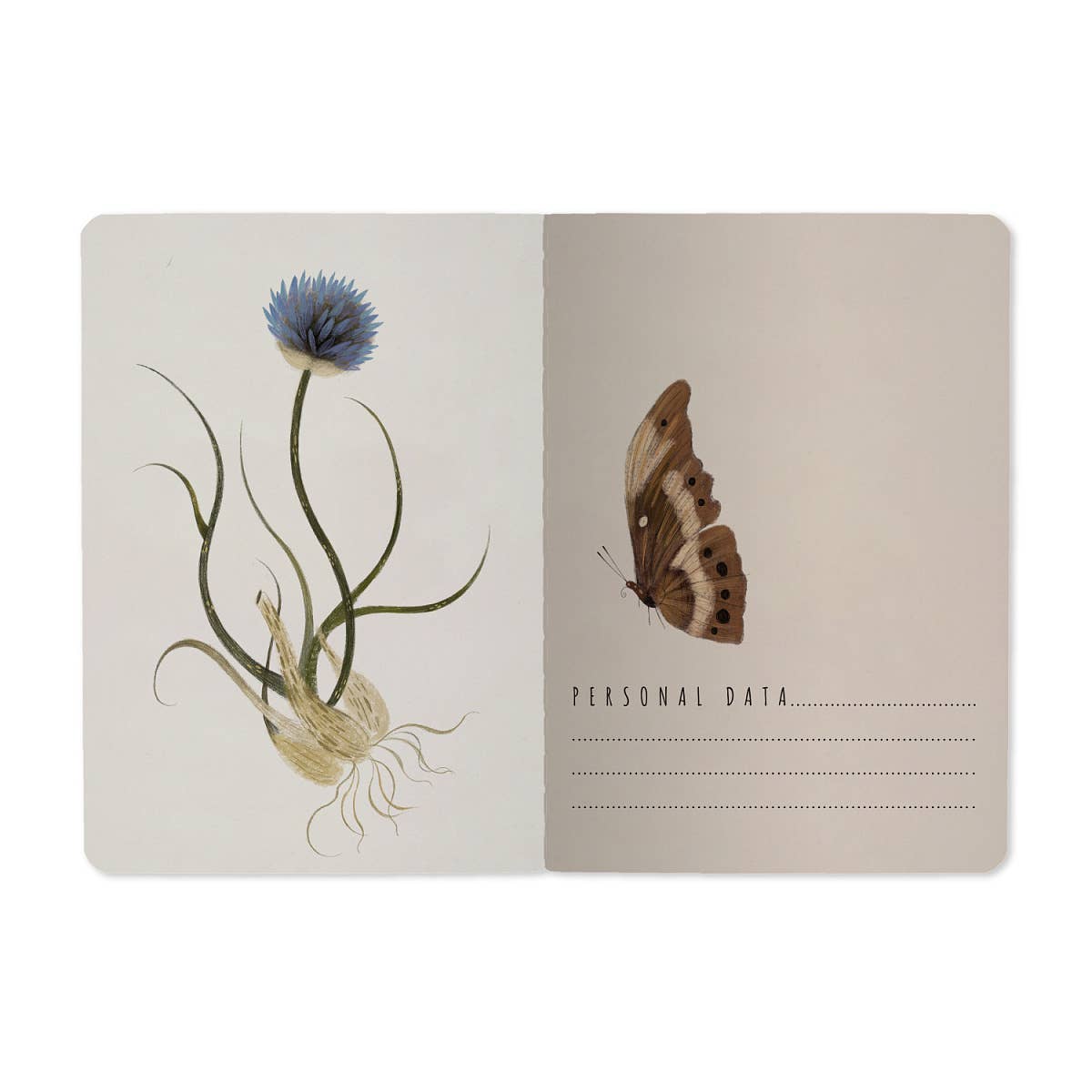 A6 Passport Notebook -  Symmetrical Flora