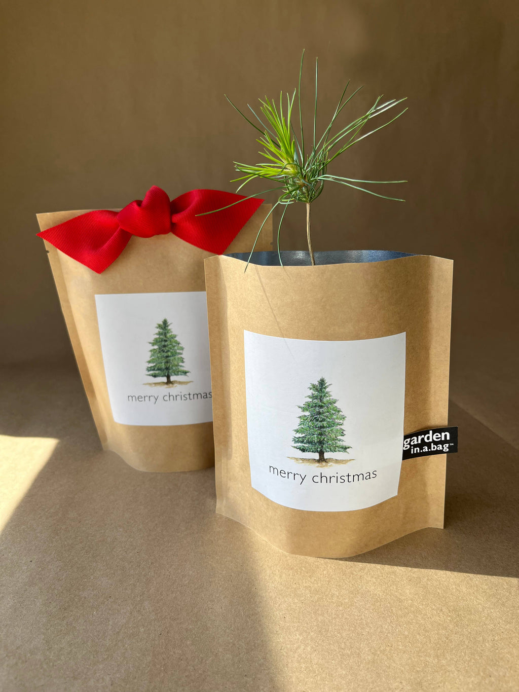 Garden in a Bag | Christmas Tree | Best Seller