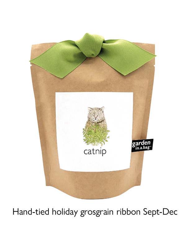 Garden in a Bag | Catnip | Pet Treat | Cat Gift