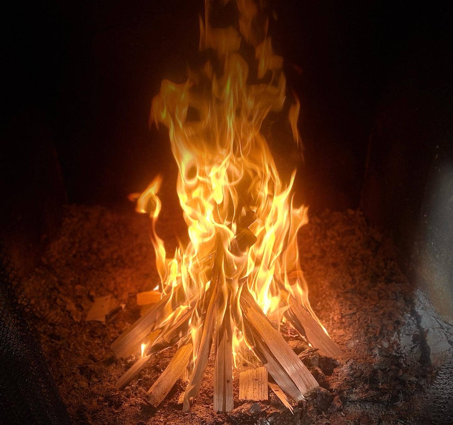 Beeswax Firestarter Biscuits