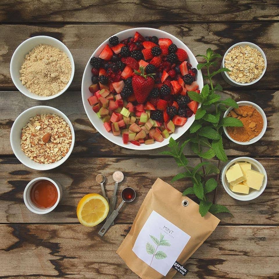 Garden in a Bag | Mint | Great gift for Cooks