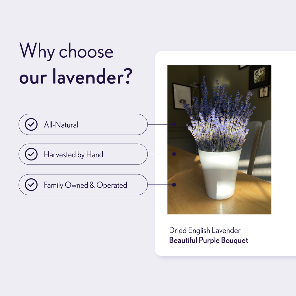 Dried English Lavender Bouquets - Light Purple