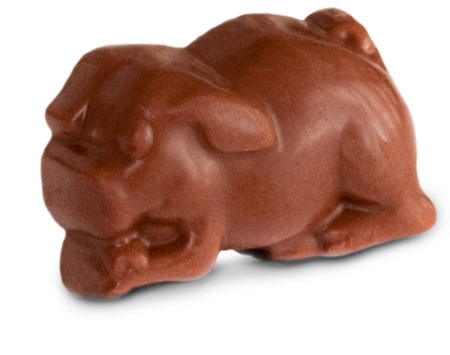 Milk Chocolate Truffle Piglets - Floral Gift Box