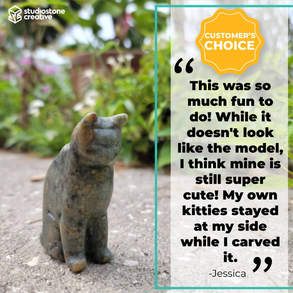 Cat Soapstone Carving Kit