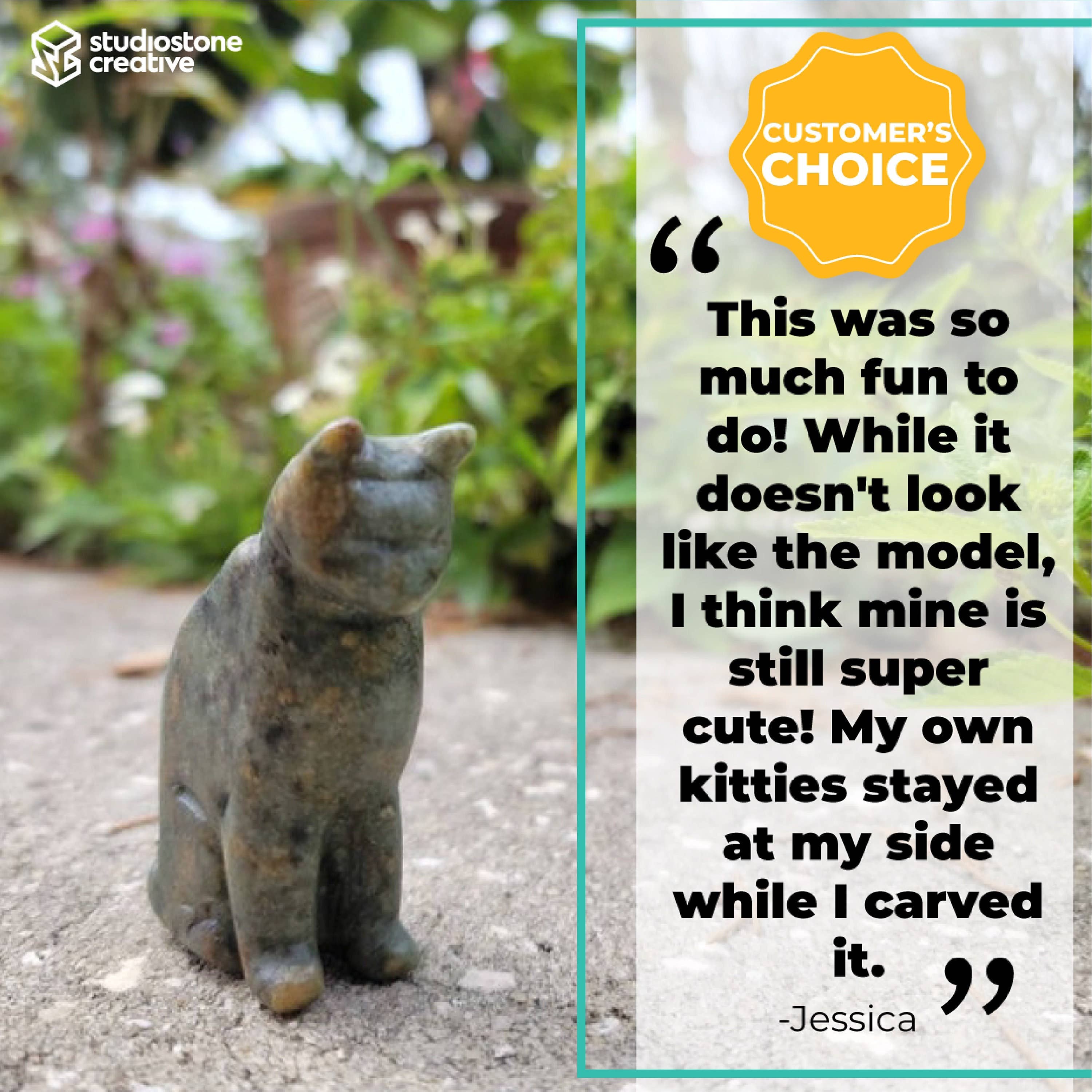 Cat Soapstone Carving Kit