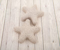 W Starfish Pumice Stone