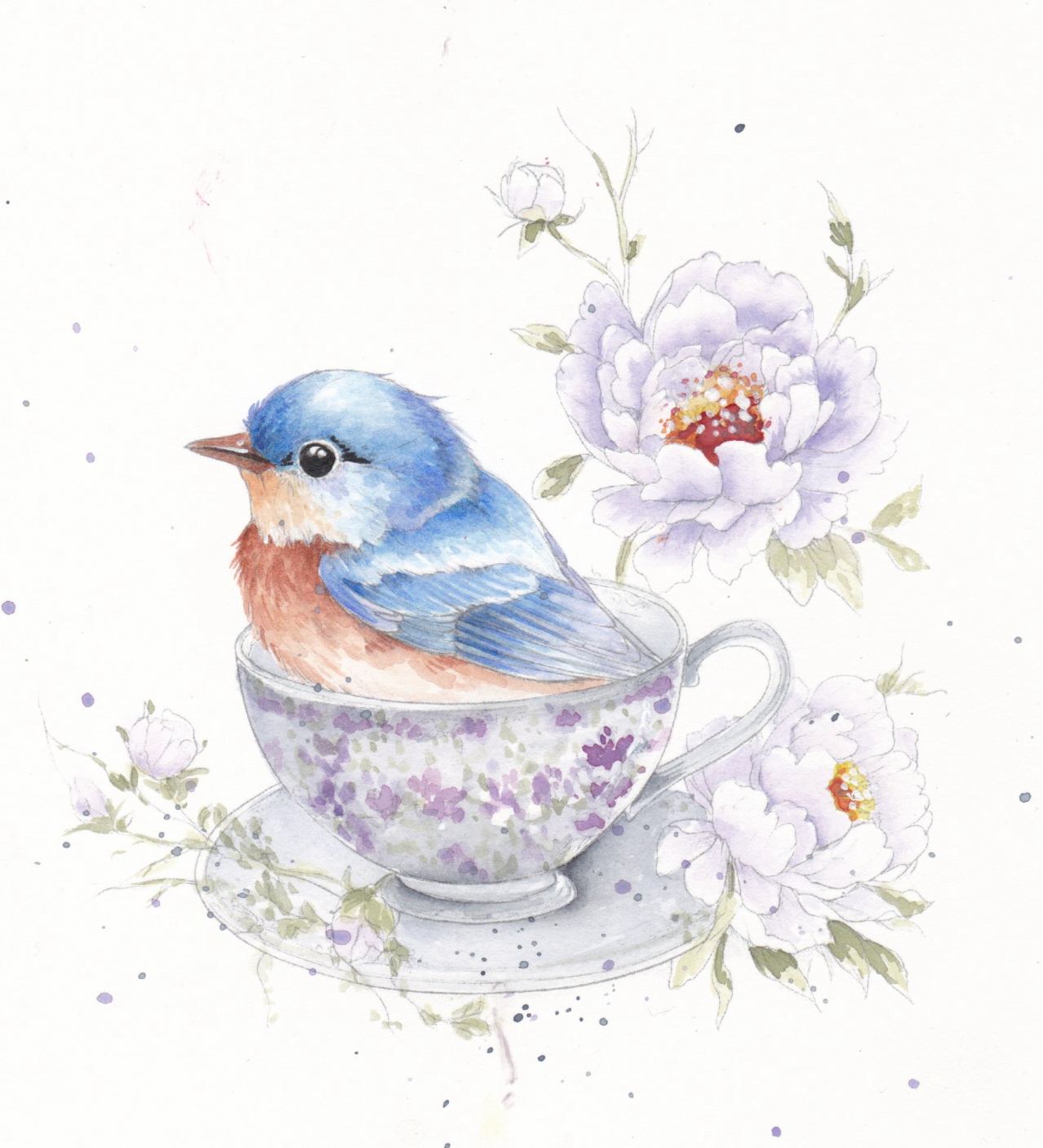 Feathers & Finery Watercolor Workbook