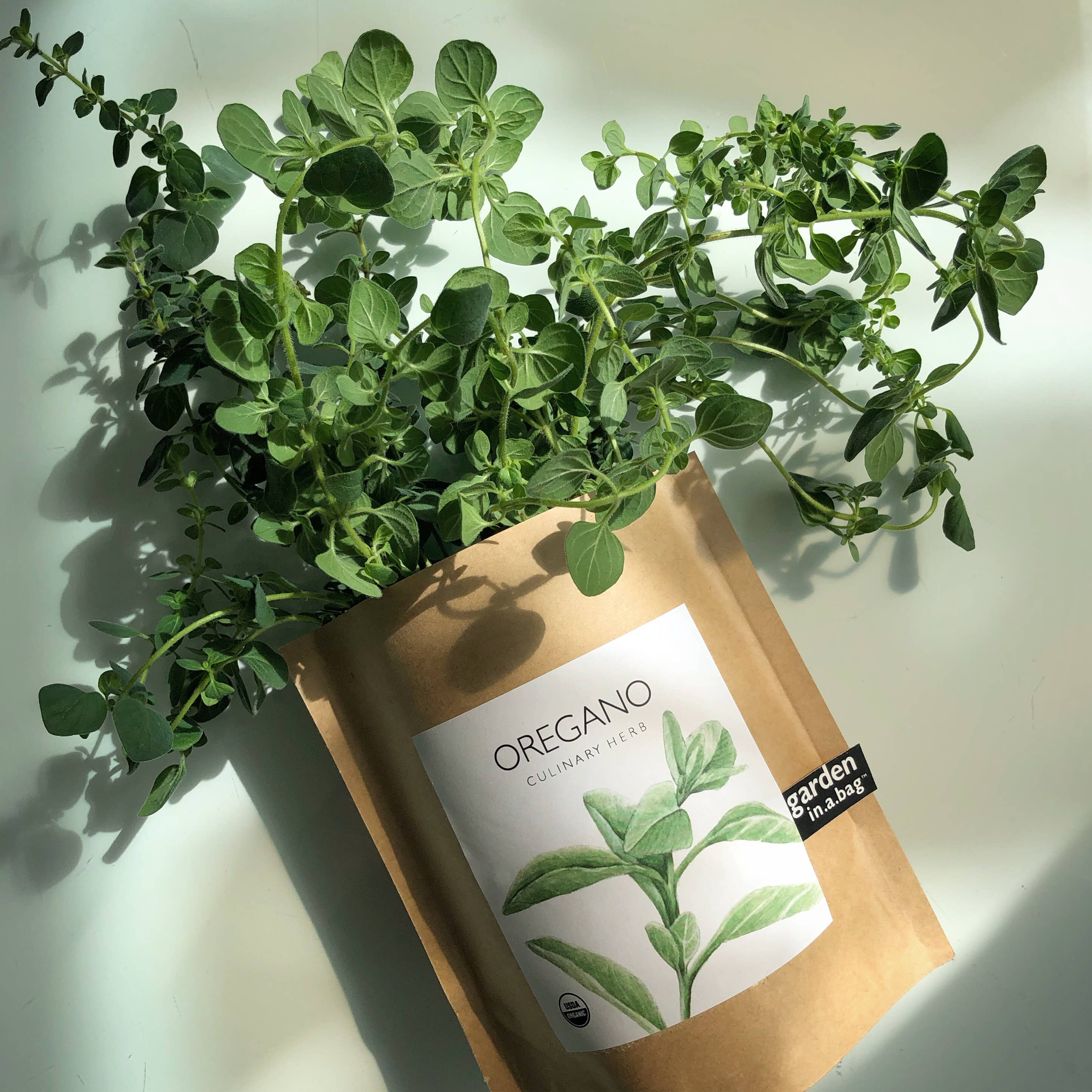 Garden in a Bag | Oregano | Great gift for Cooks