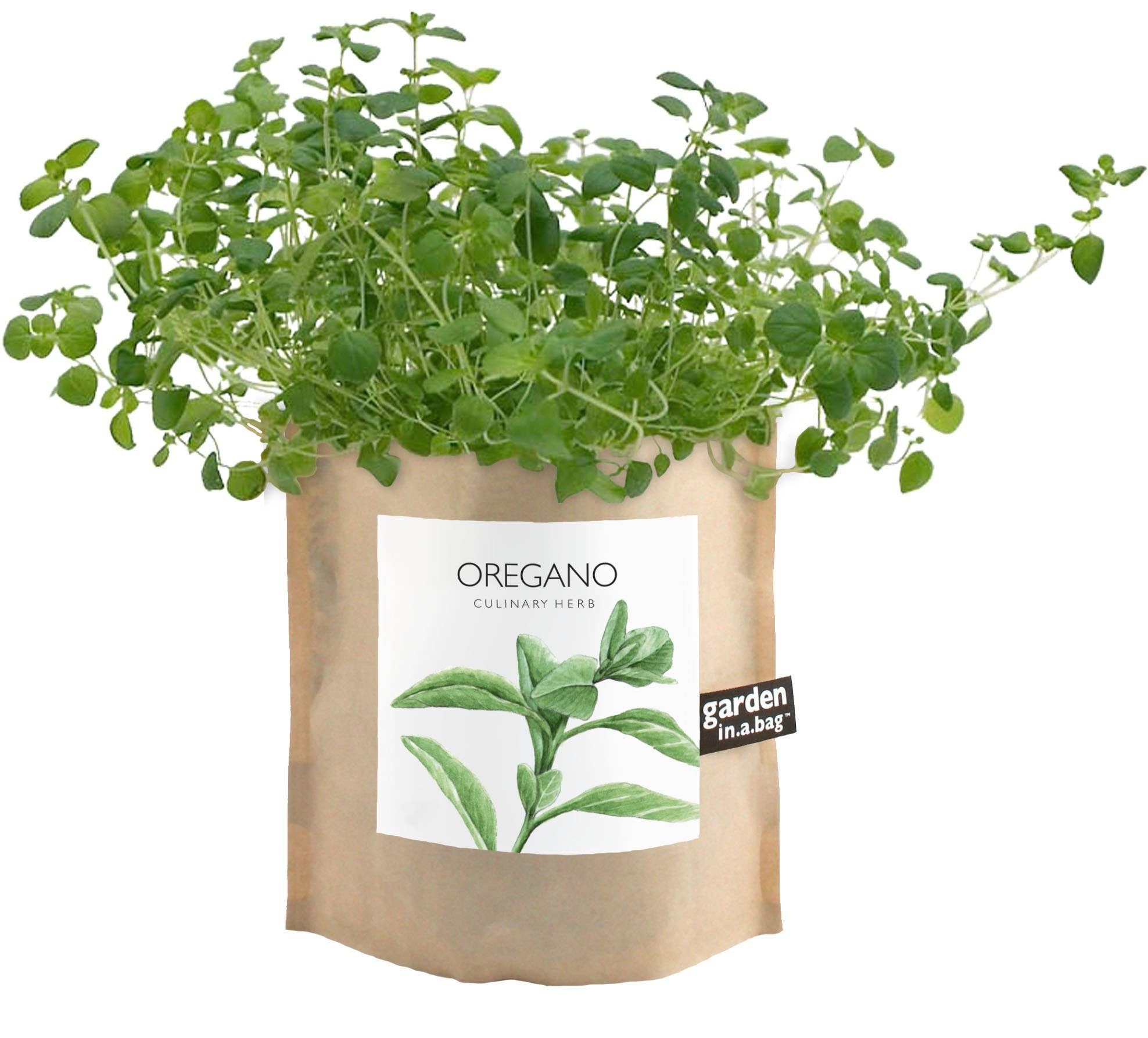 Garden in a Bag | Oregano | Great gift for Cooks