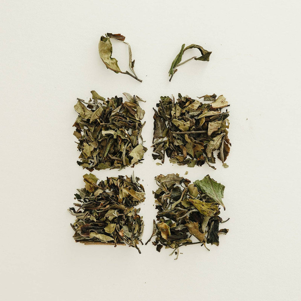 Organic Nutcracker Loose Leaf Tea