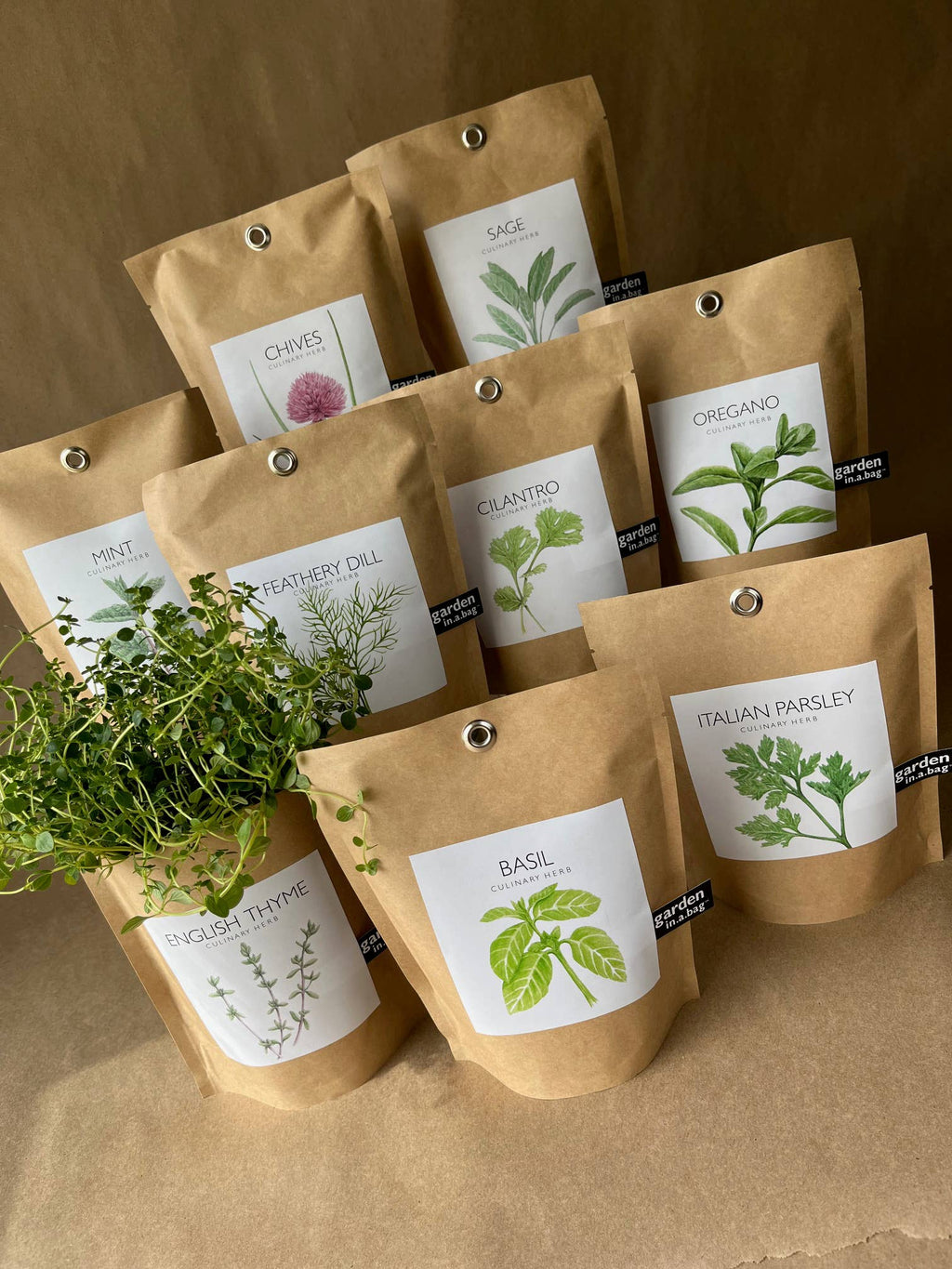Garden in a Bag | Mint | Great gift for Cooks
