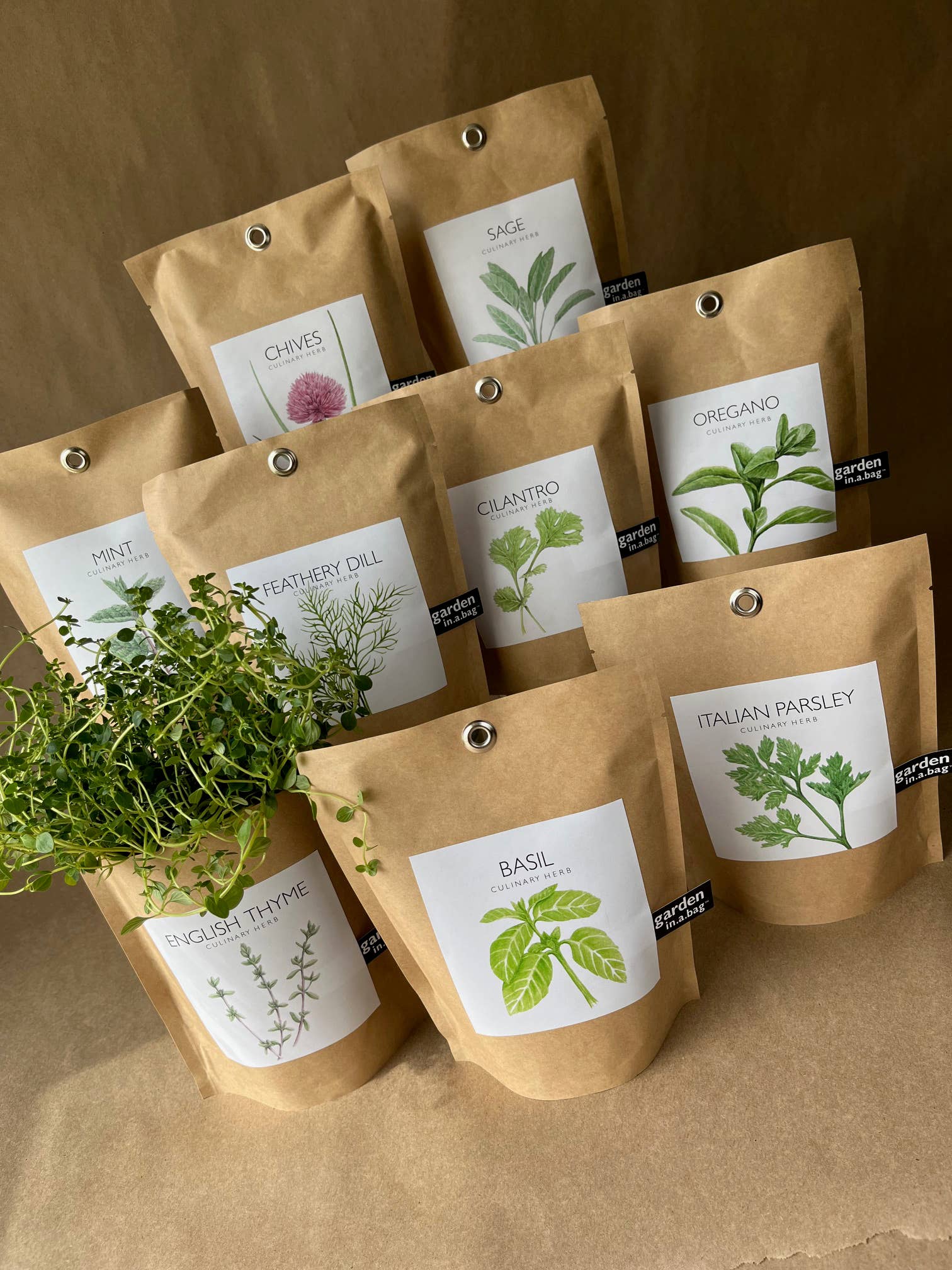Garden in a Bag | Mint | Great gift for Cooks