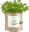 Garden in a Bag | Mint | Great gift for Cooks