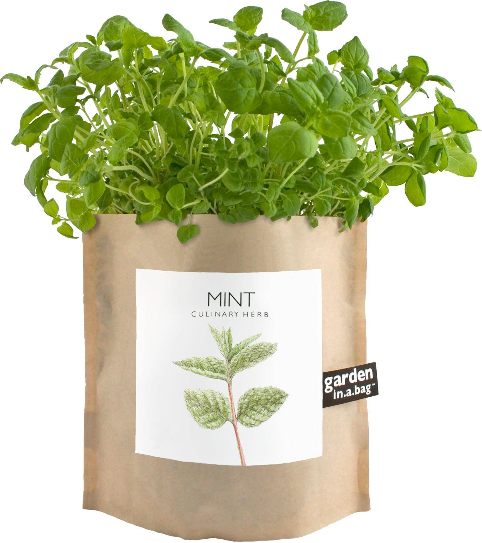 Garden in a Bag | Mint | Great gift for Cooks