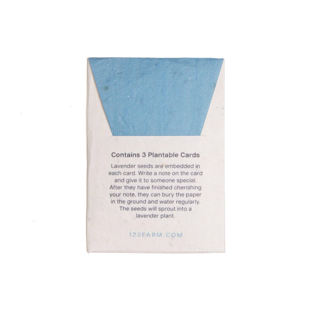 Plantable Lavender Seed Cards – Write, Gift, and Grow