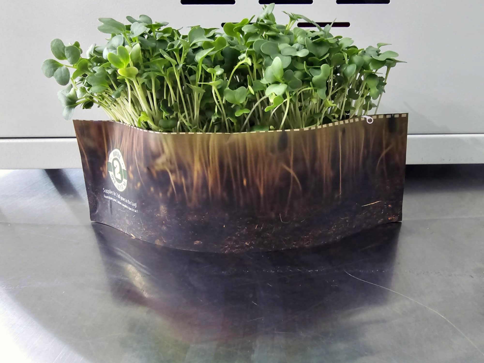 Pea Microgreen Grow Kit