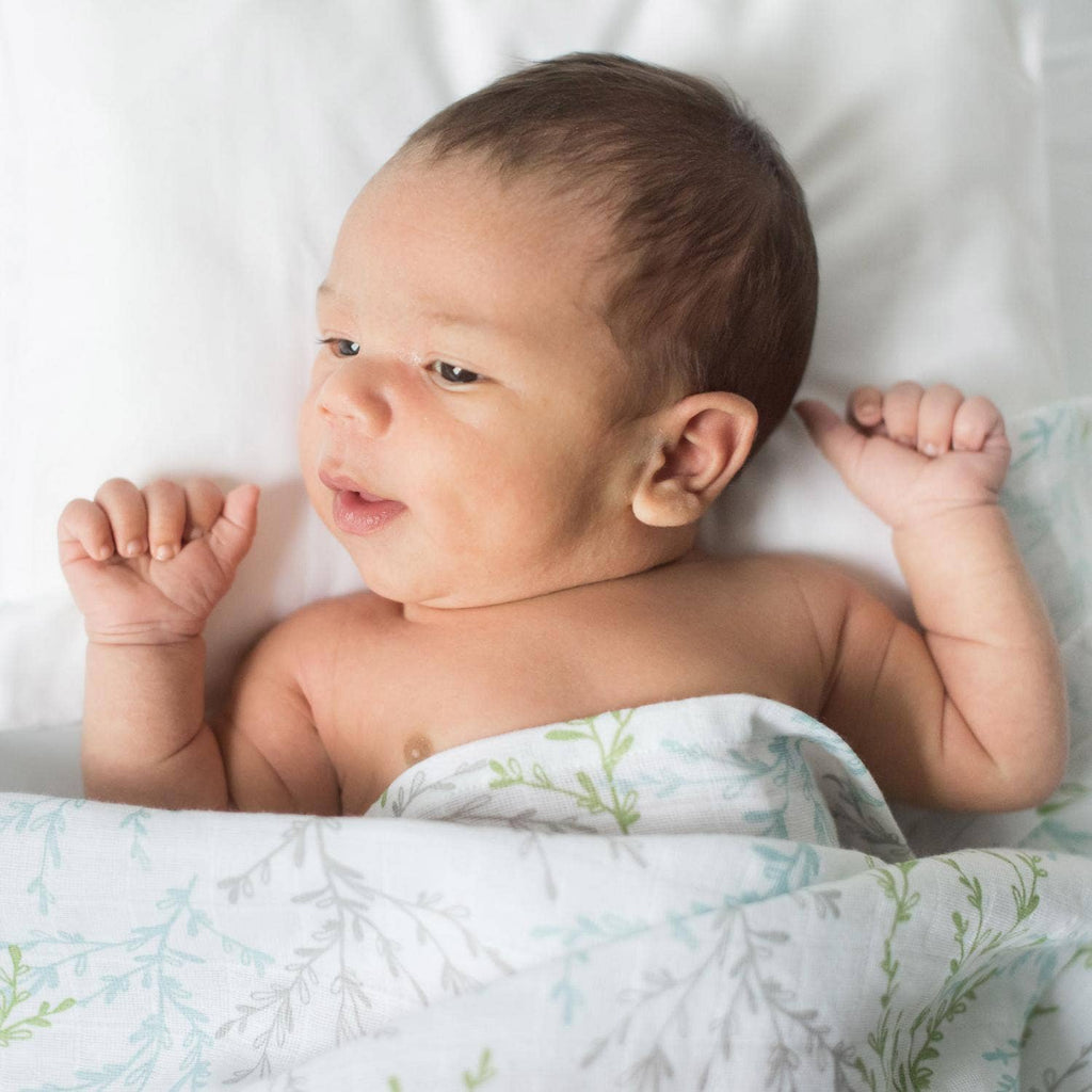 Organic Muslin Blankets 2-pack Springtime