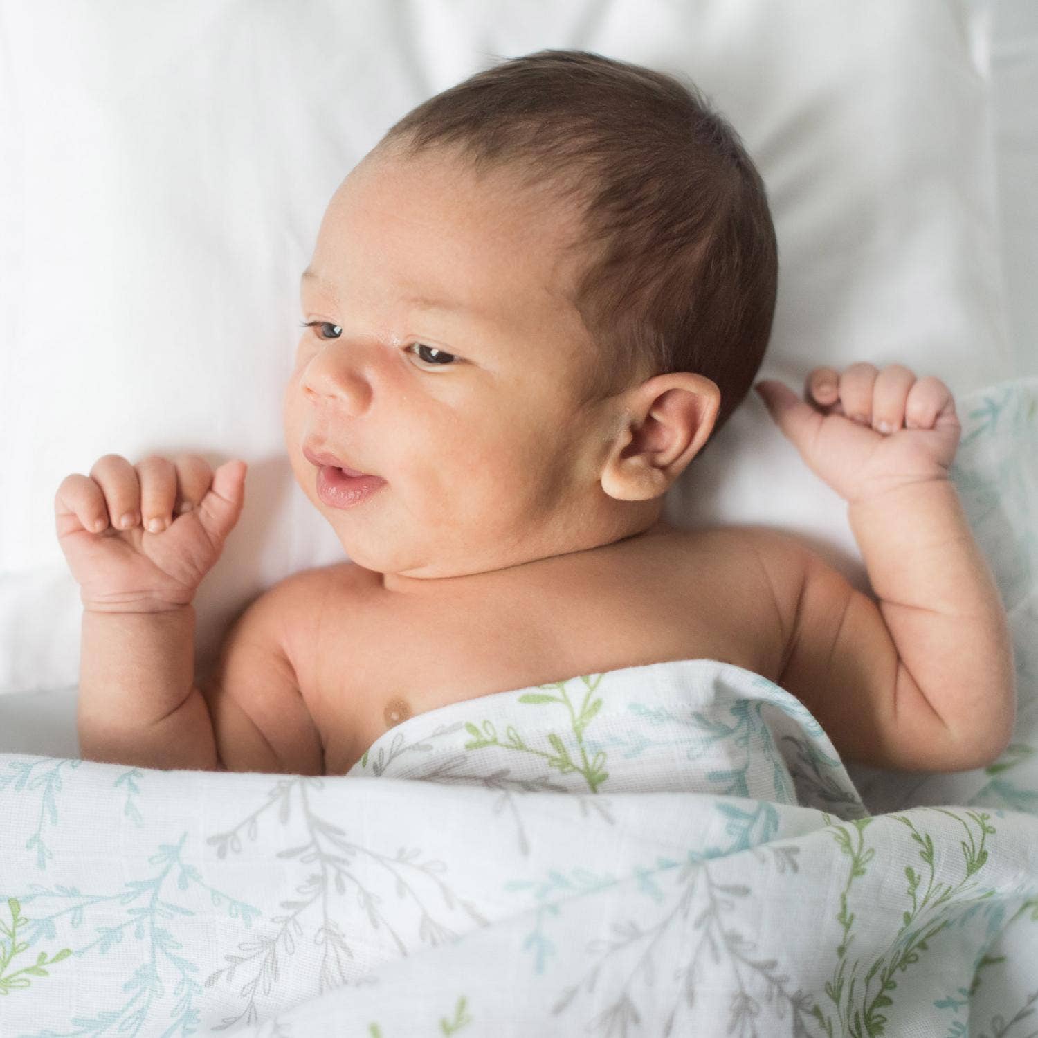 Organic Muslin Blankets 2-pack Springtime