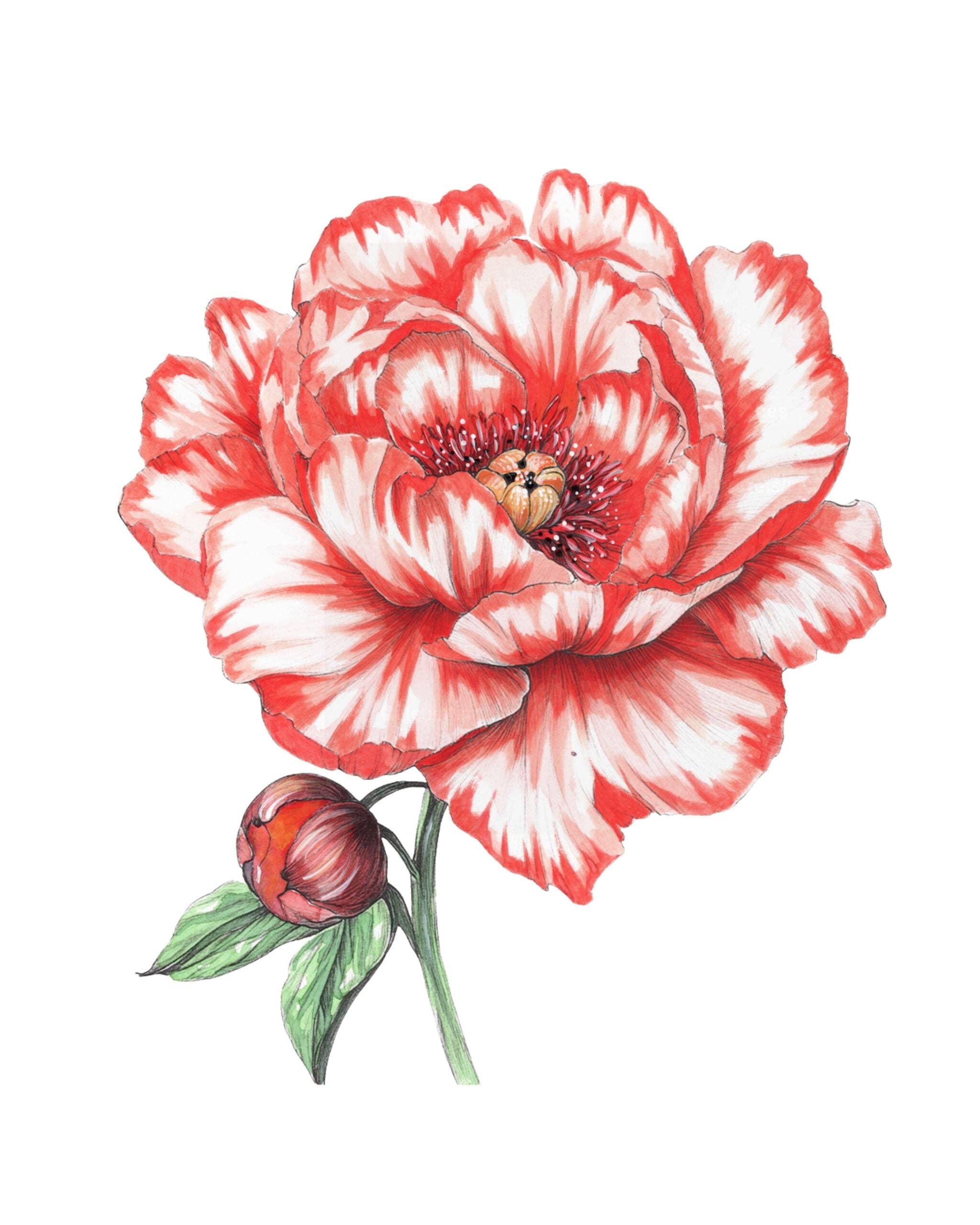 Bold Flowers Watercolor Workbook