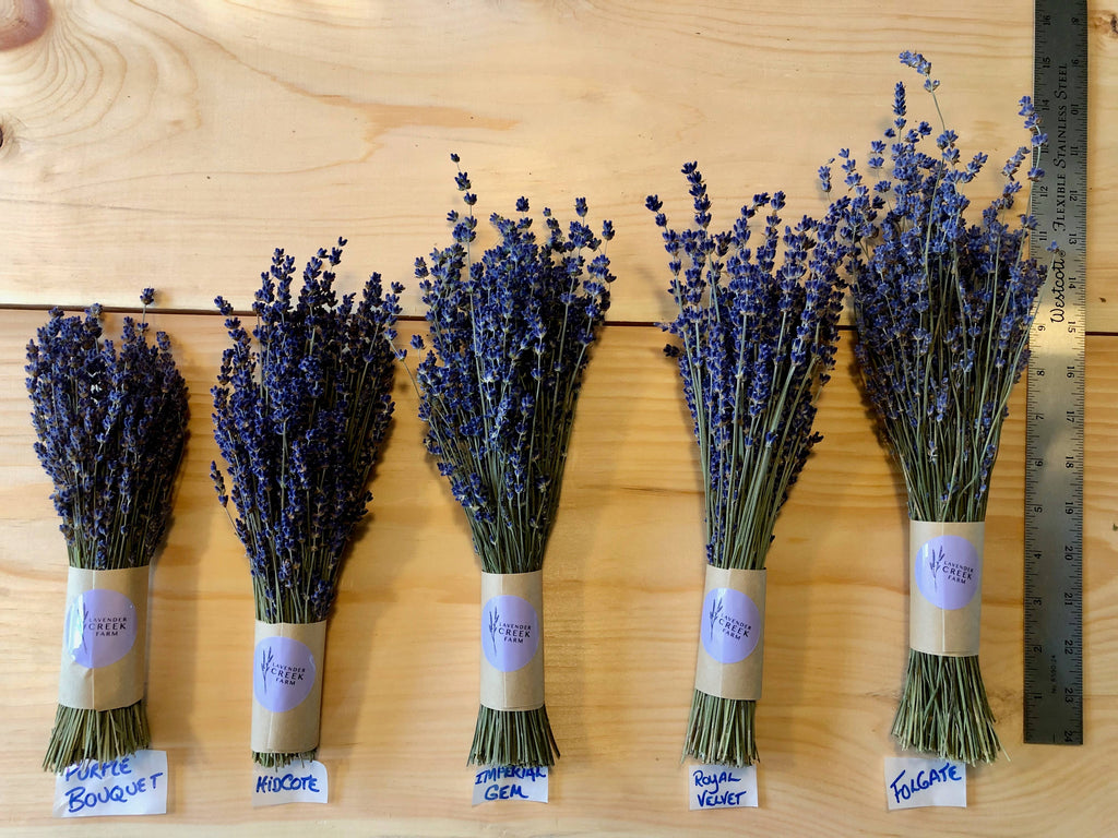 Dried English Lavender Bouquets - Light Purple