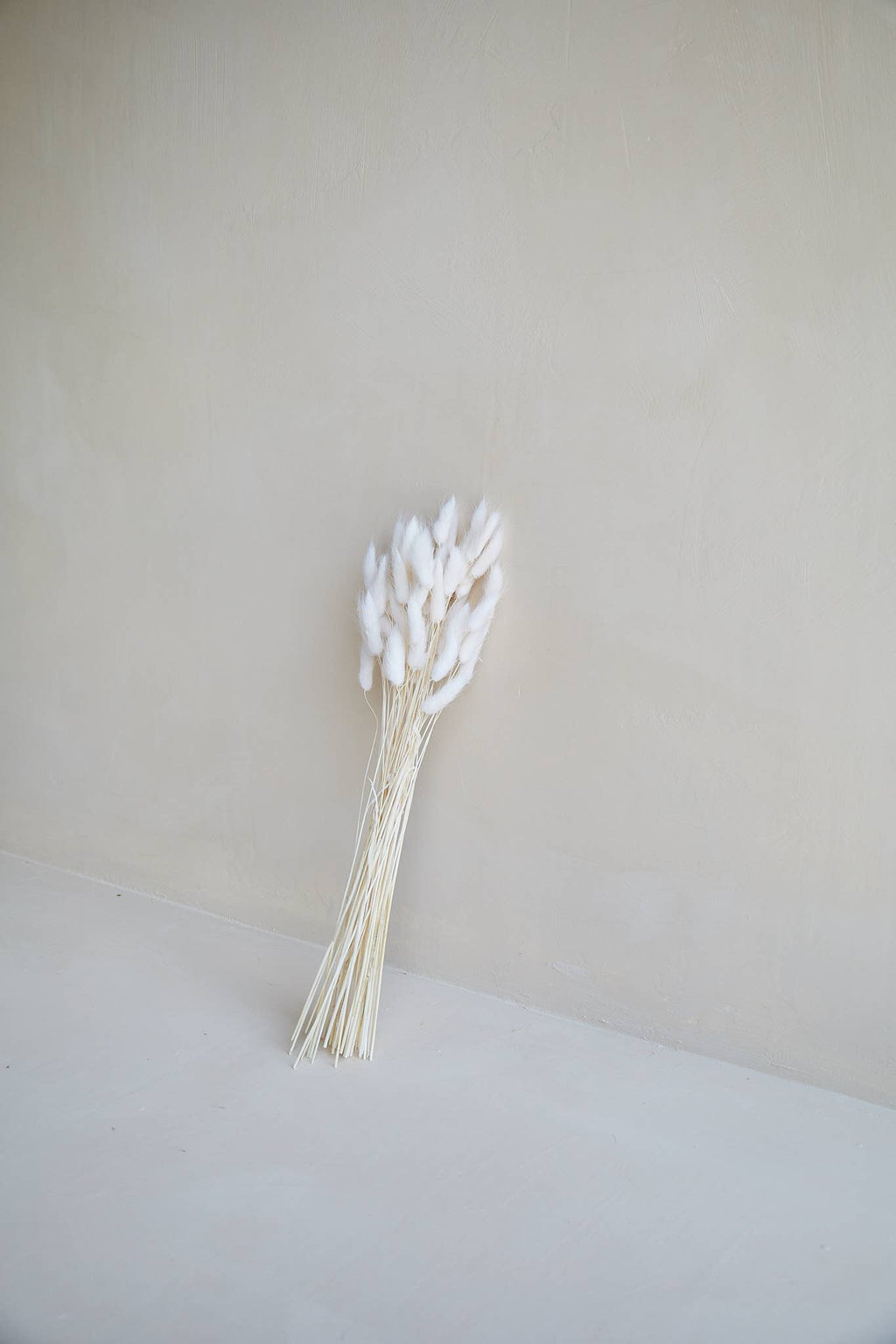 Bunny Tails in White