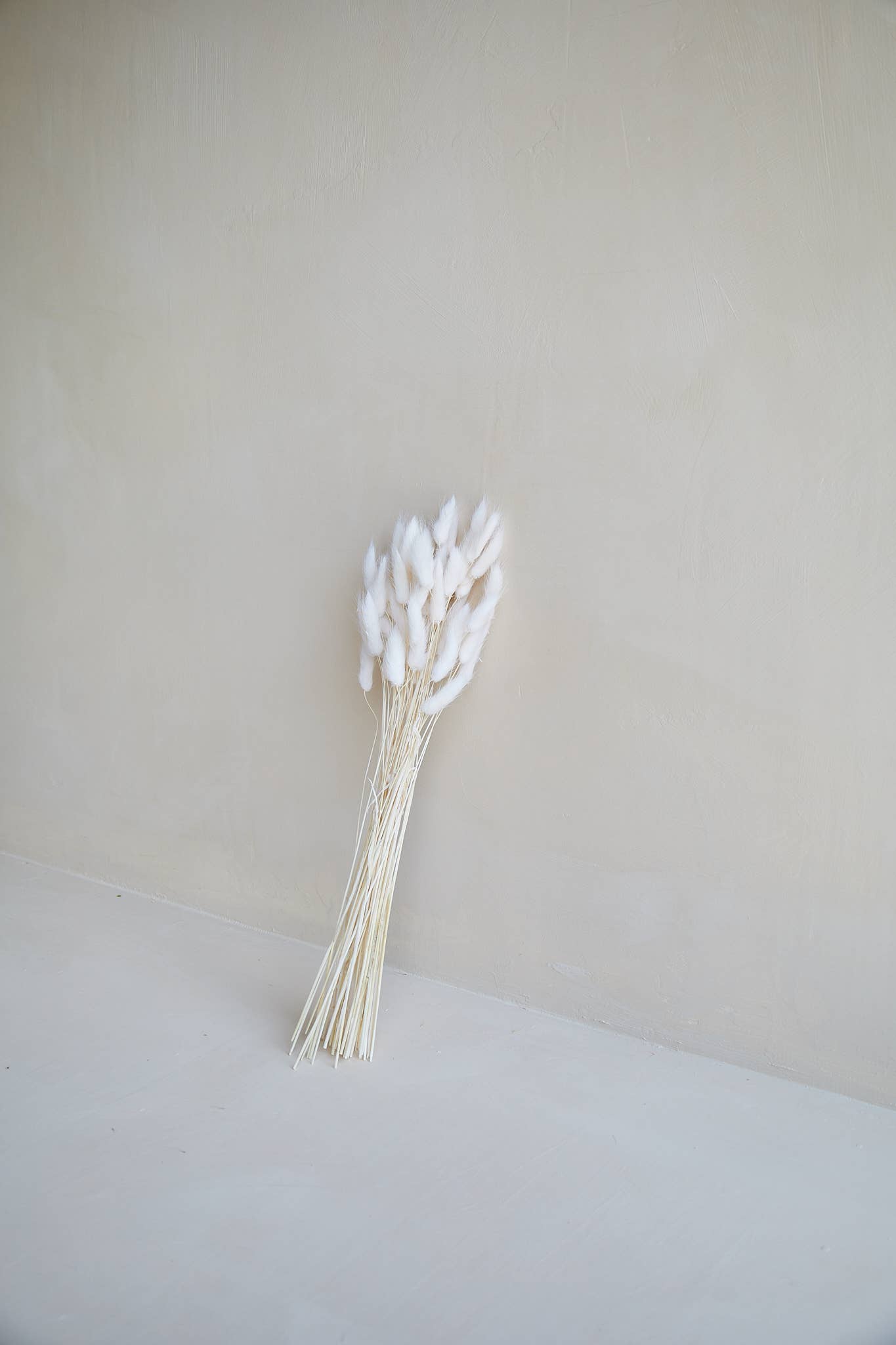 Bunny Tails in White